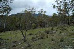 WLRA Landform Wartook granite hills