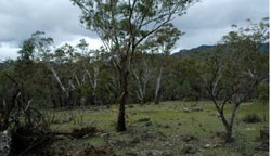WLRA Landform Wartook granite hills