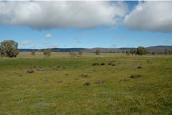 WLRA Landform Wattle Creek