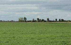 WLRA - soil pit WIA14- landscape