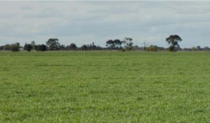 WLRA - soil pit WIA15- landscape