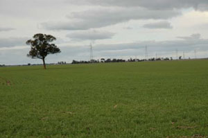 WLRA - soil pit WIA20- landscape