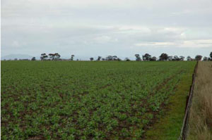 WLRA - soil pit WIA24- landscape