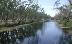 WLRA Landform Wimmera River