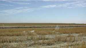 WLRA - soil pit WLRA129- landscape