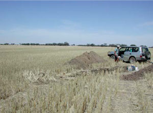 WLRA - soil pit WLRA133- landscape