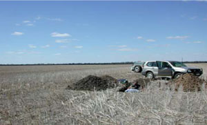 WLRA - soil pit WLRA135- landscape