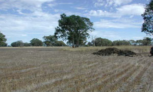 WLRA - soil pit WLRA137- landscape