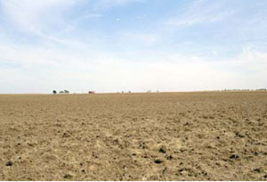 WLRA - soil pit WLRA13- landscape