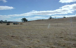 WLRA - soil pit WLRA141- landscape