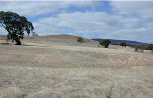 WLRA - soil pit WLRA142- landscape