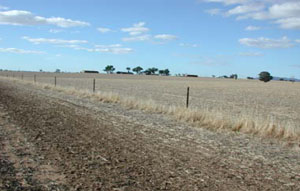 WLRA - soil pit WLRA143- landscape