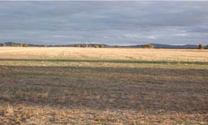 WLRA - soil pit WLRA144- landscape