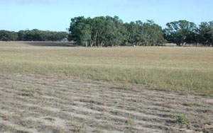 WLRA - soil pit WLRA145- landscape
