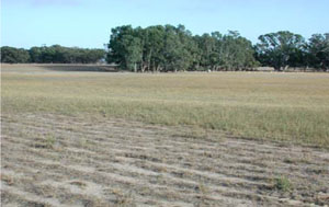 WLRA - soil pit WLRA146- landscape