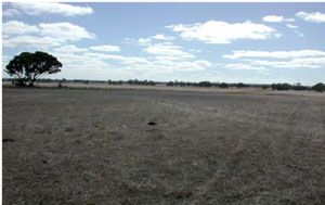 WLRA - soil pit WLRA147- landscape