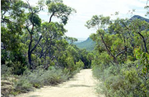 WLRA - soil pit WLRA54- landscape