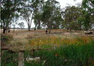 WLRA - soil pit WLRA63- landscape