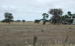 WLRA Landform Woorak clay plains