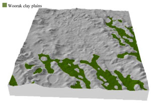 WLRA Landform Woorak clay plains