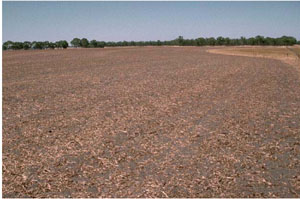 WLRA - soil pit WW10- landscape