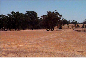 WLRA - soil pit WW11- landscape