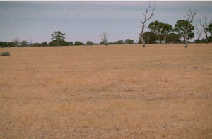 WLRA - soil pit WW18- landscape