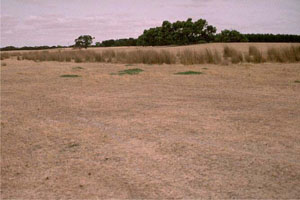 WLRA - soil pit WW1- landscape