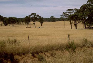 WLRA - soil pit WW21- landscape