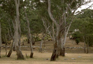 WLRA - soil pit WW22- landscape