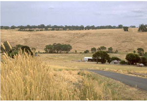 WLRA - soil pit WW23- landscape