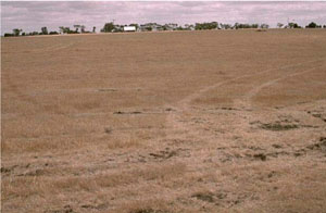 WLRA - soil pit WW5- landscape
