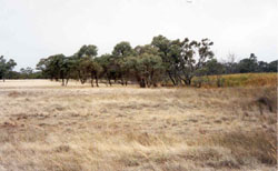 WLRA Landform Yarriambiack - Dunmunkle Creek