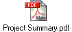 Project Summary.pdf