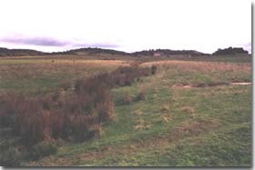 A reshaped gully near Costerfield