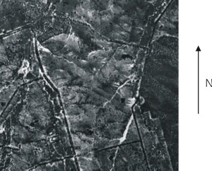 Photo:  An aerial view of the allotment taken in 1949.