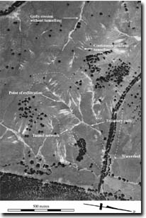 Photo:  An enlarged view of part of the allotment taken in 1971.