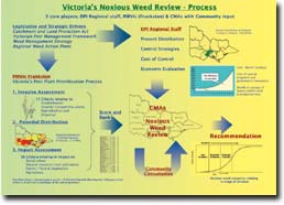 Image: Noxious Weeds Process