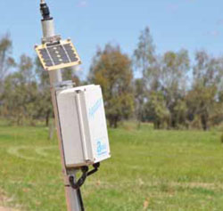 Automated irrigation system