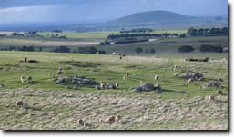 Photo:  Granite Hills near Waubra