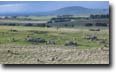 Photo:  Granite Hills near Waubra