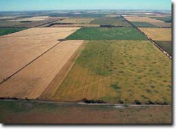 Photo:  Land Use Birchip David Smith