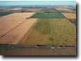 Photo:  Land Use Birchip David Smith