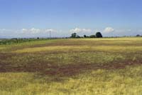 Image:  Class 2 Salinity