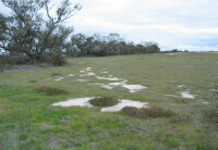 Image:  Class 3 Salinity