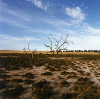 Image:  Class 4 Salinity
