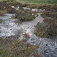 Image:  Class 4 Salinity