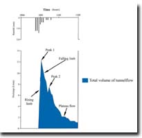 Image:  Rainfall  hydrograph 1992
