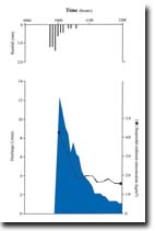 Image:  Rainfallb hydrograph 1992
