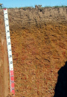 Image:  CRC2 Profile